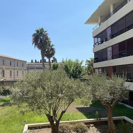 Appartement Climatise Avec Terrasse Et Parking Centre Ville مونبيلييه المظهر الخارجي الصورة